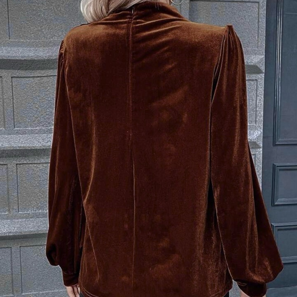 SHEIN velvet blouse - Picture 3 of 5